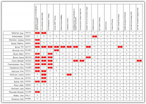 Matrix Gemini Competency Report
