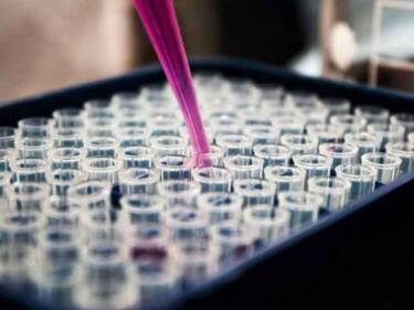 LIMS Impact on Data Management in Chemical Labs